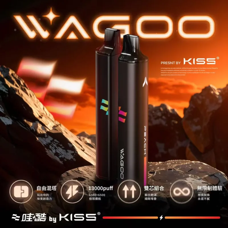 哇酷 KIS5 拋棄式小煙 6500口|雙芯組合自由混搭・13000Puff升級體驗